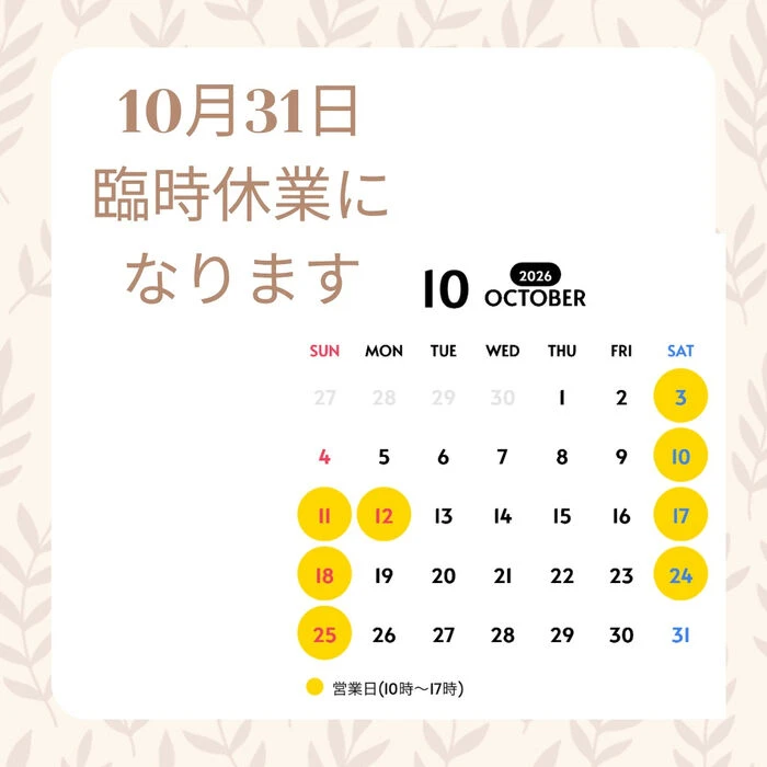 ブログ画像
